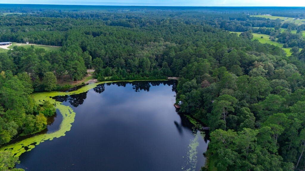 26 acres in Texas County - photo 33