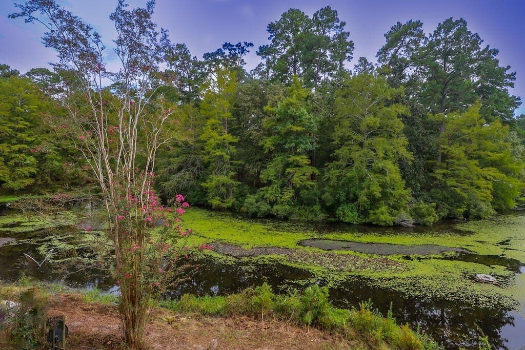 26 acres in Texas County - photo 100