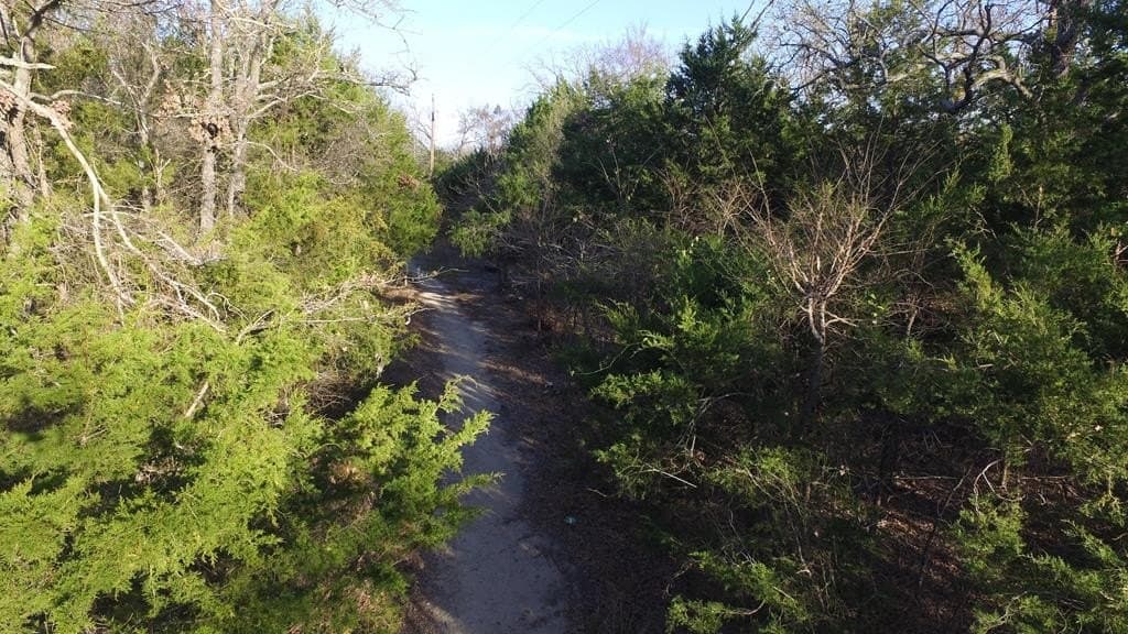 0.01 acres in Henderson County - photo 8