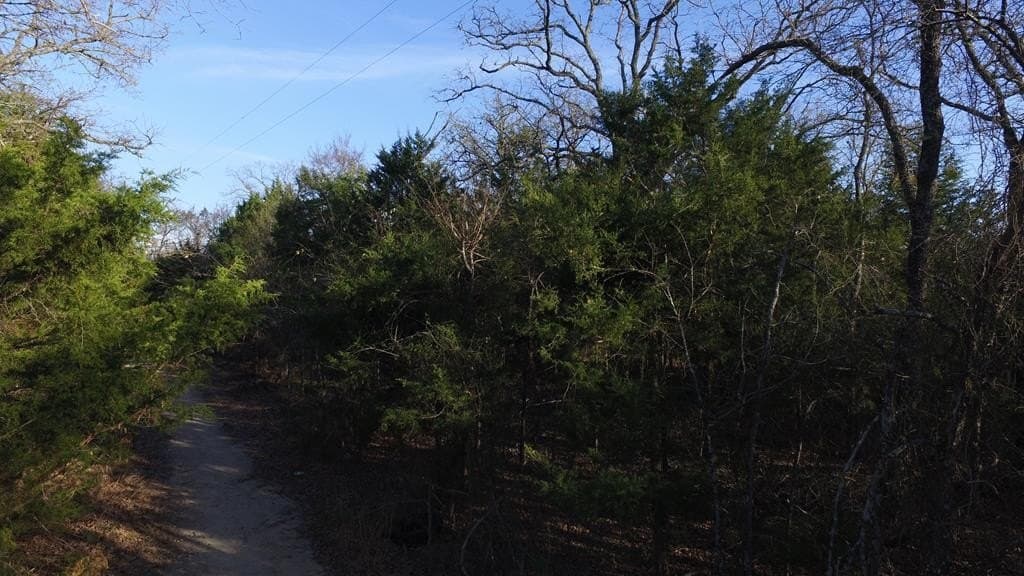 0.01 acres in Henderson County - photo 10