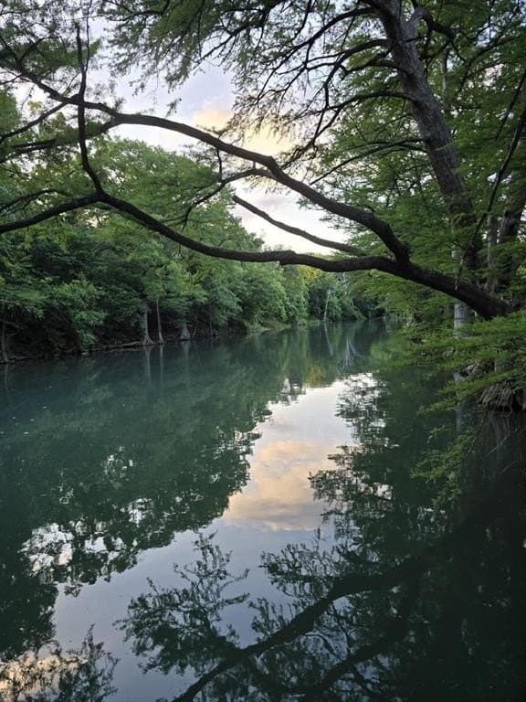 0.36 acres in Comal County gallery image 2