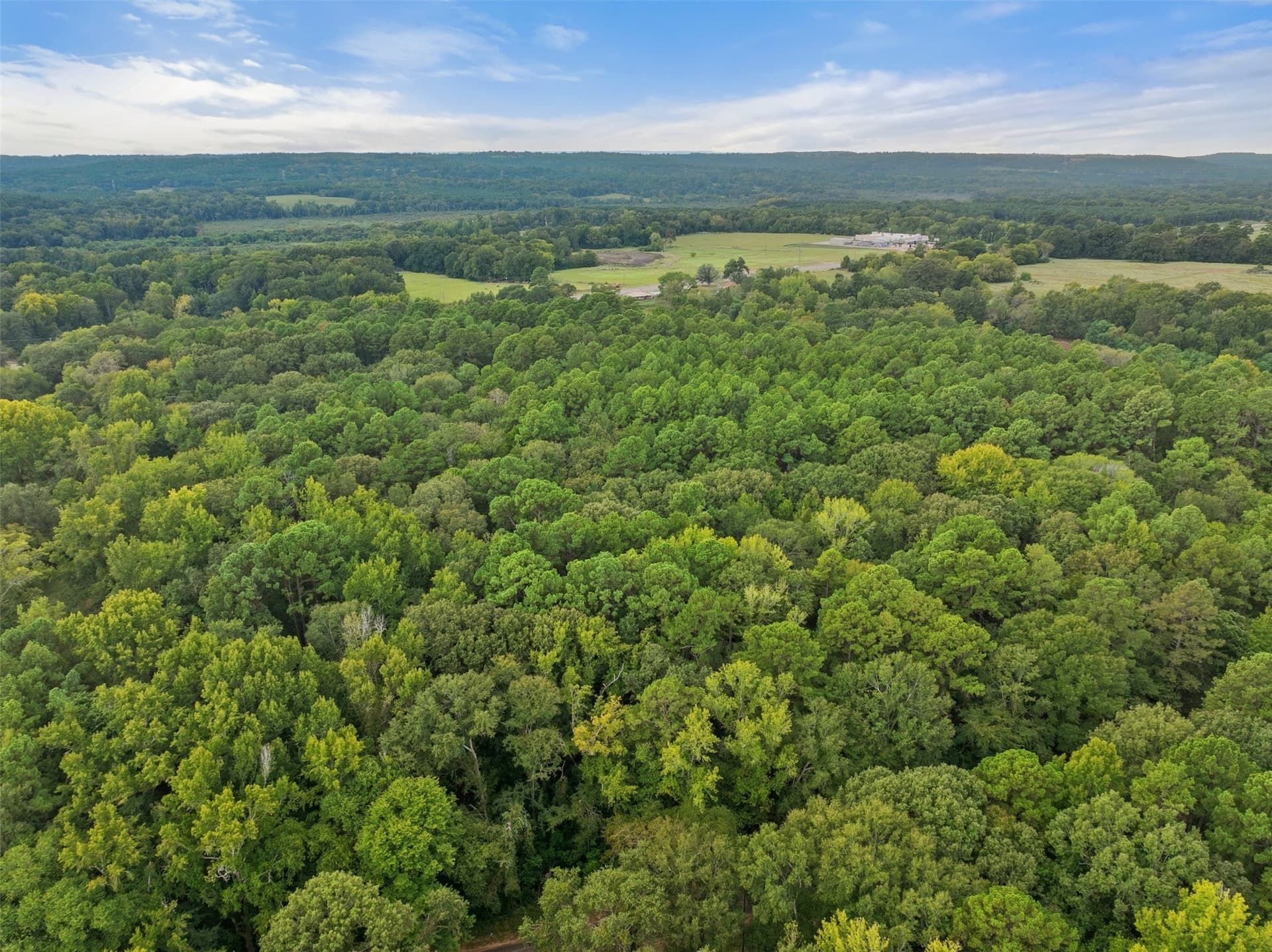 21.02 acres in Anderson County - photo 16