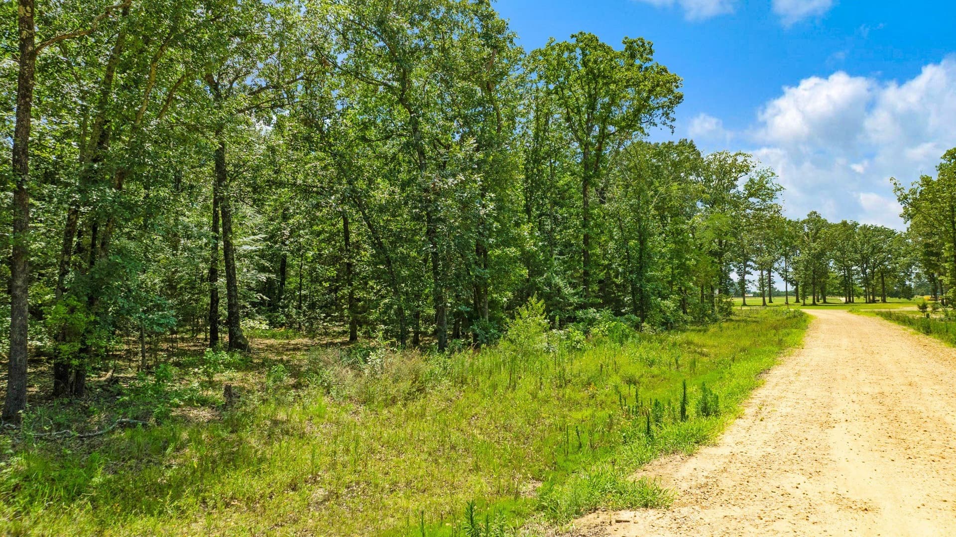 4.4 acres in Lamar County - photo 16