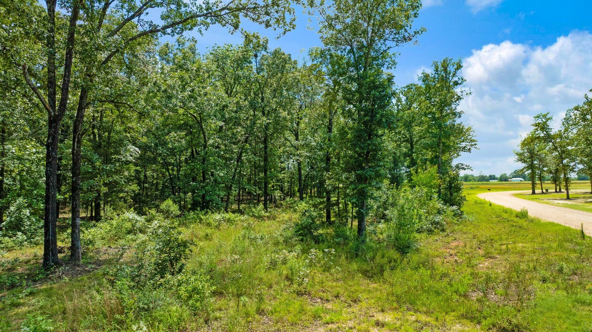 4.4 acres in Lamar County - photo 18