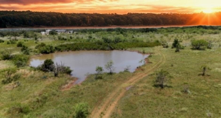 103.56 acres in Young County gallery image 3