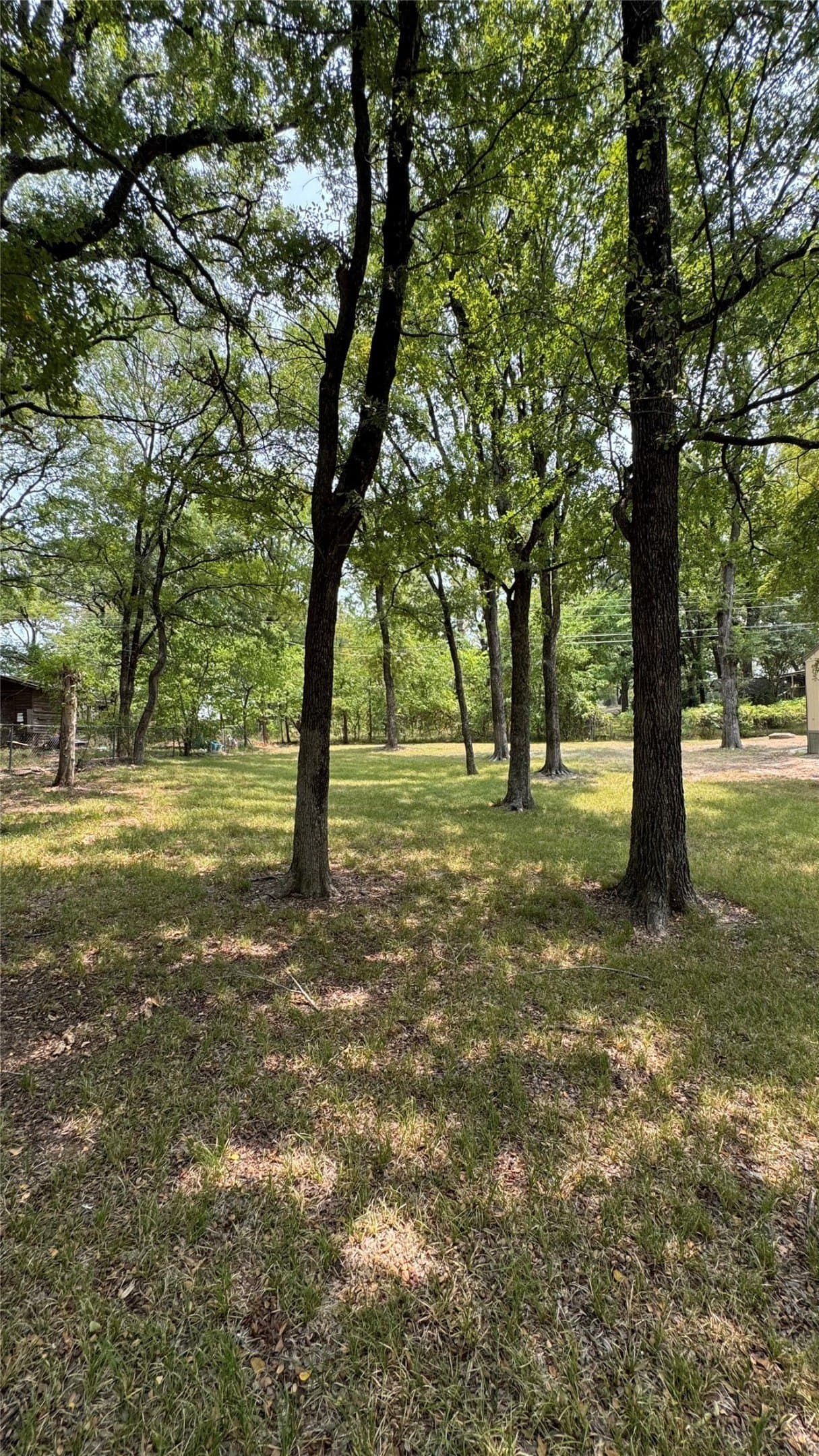 0.17 acres in Henderson County gallery image 4