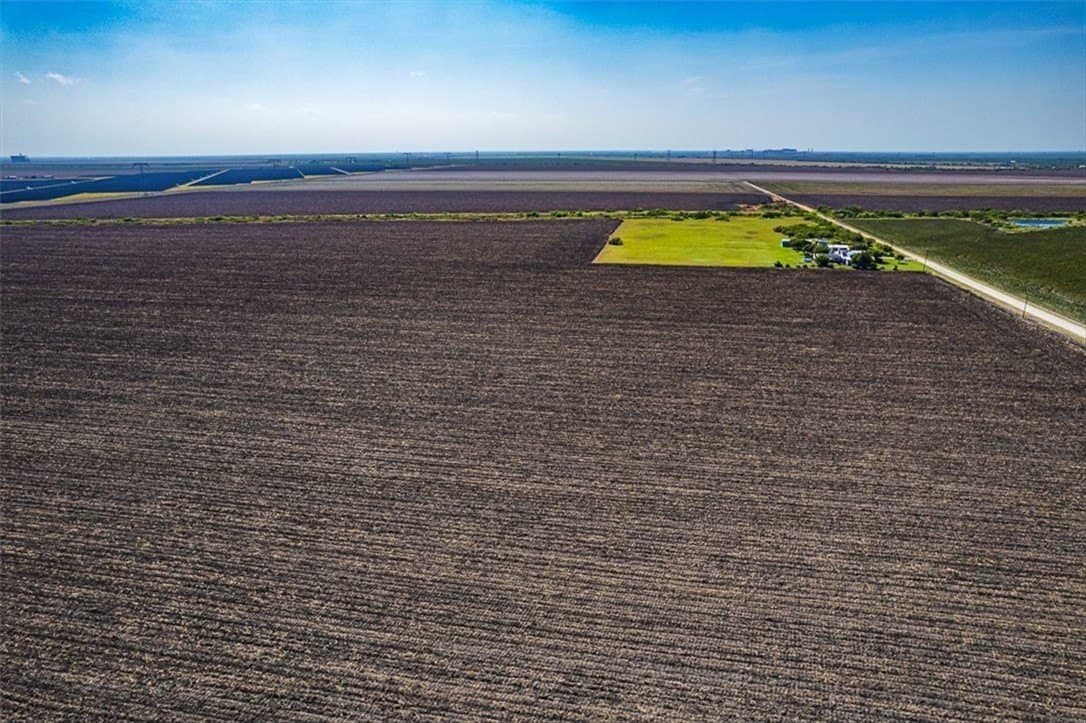 17 acres in San Patricio County gallery image 4