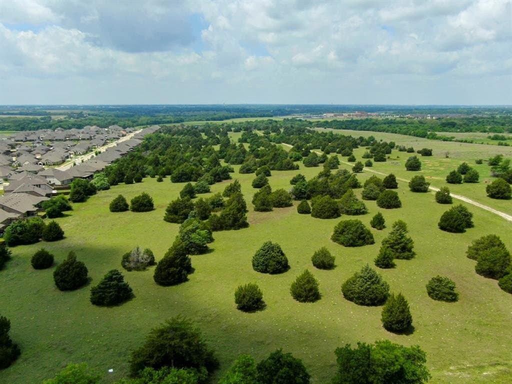 120.19 acres in Ellis County gallery image 4