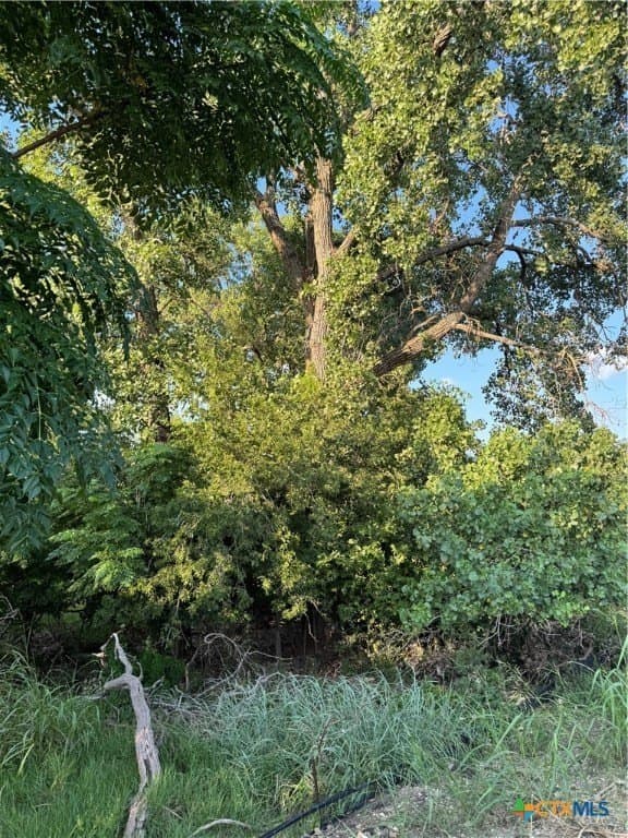 2.97 acres in Bell County - photo 8