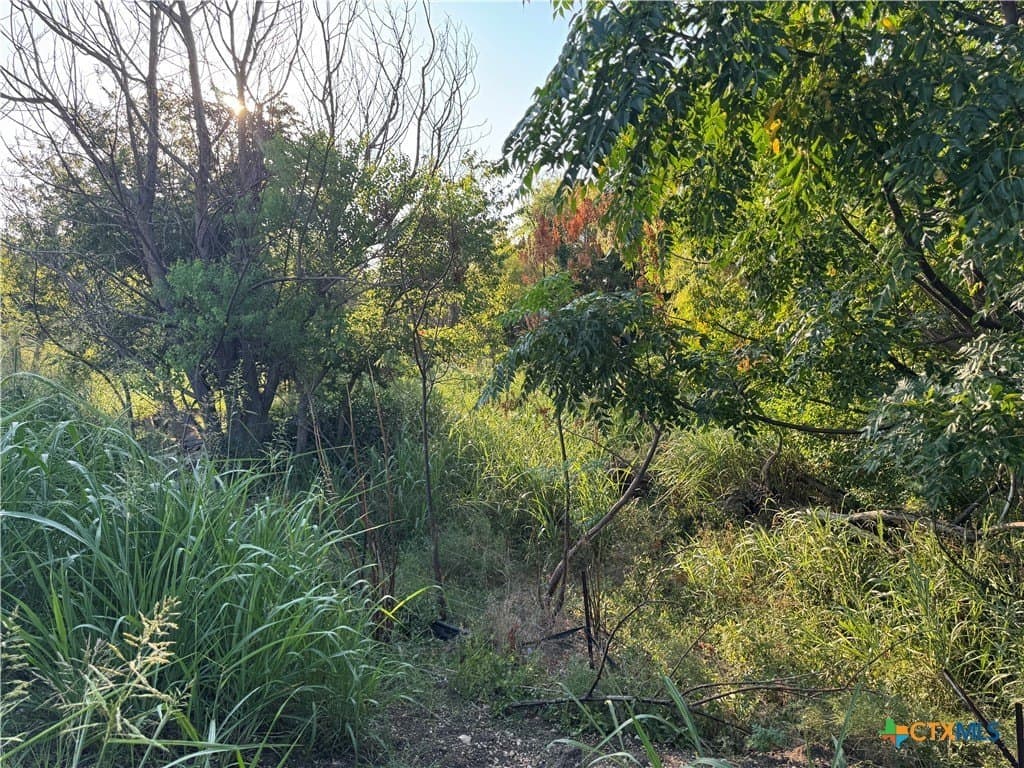 2.97 acres in Bell County - photo 15