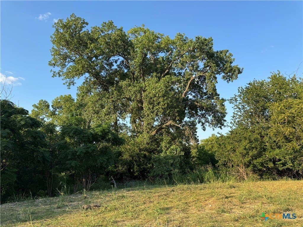 2.97 acres in Bell County gallery image 4