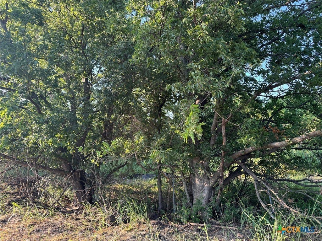 2.97 acres in Bell County - photo 6