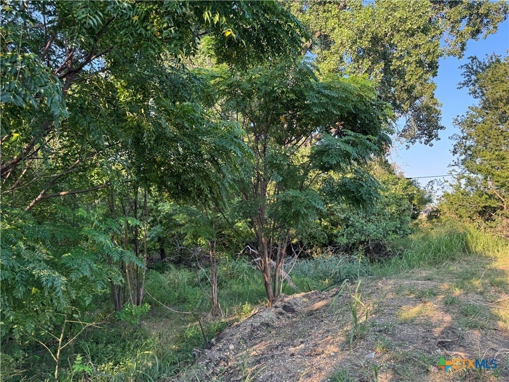 2.97 acres in Bell County - photo 14