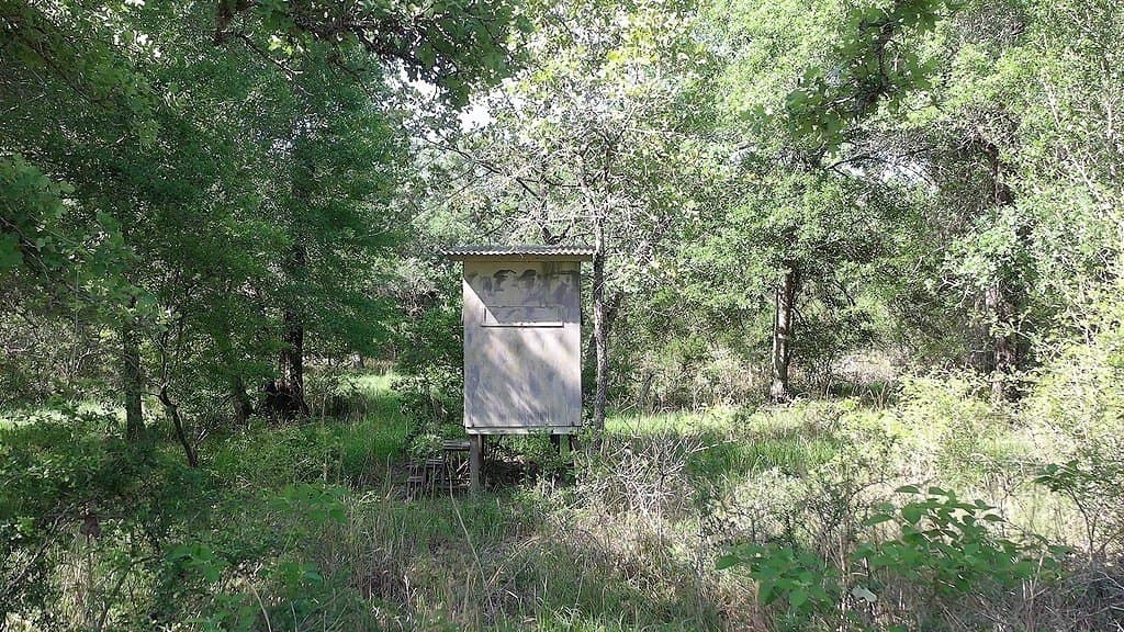 11 acres in Lavaca County - photo 12