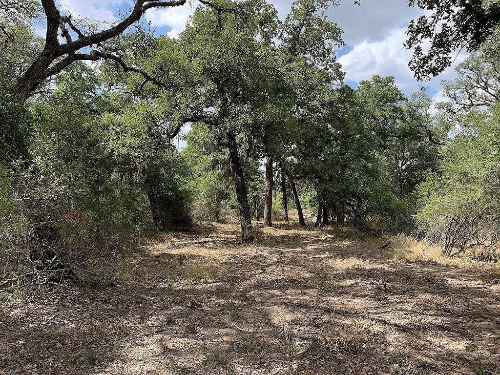 11 acres in Lavaca County - photo 14