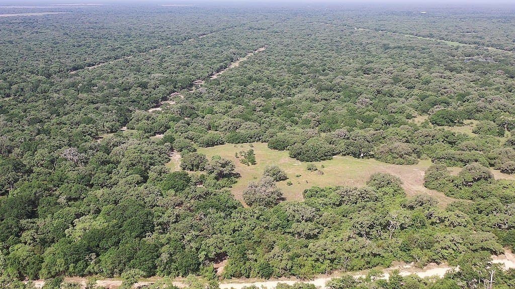 11 acres in Lavaca County - photo 22