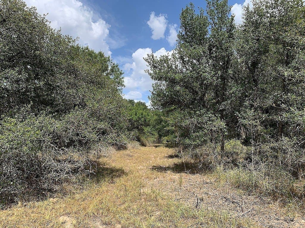 11 acres in Lavaca County - photo 9