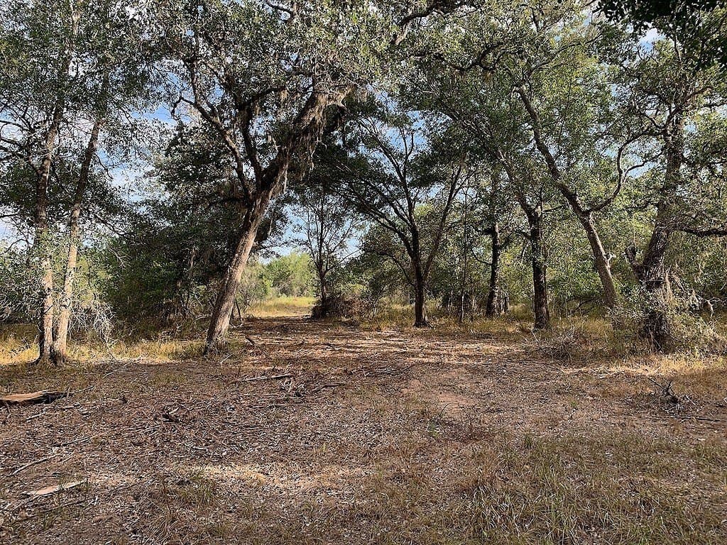 11 acres in Lavaca County - photo 15