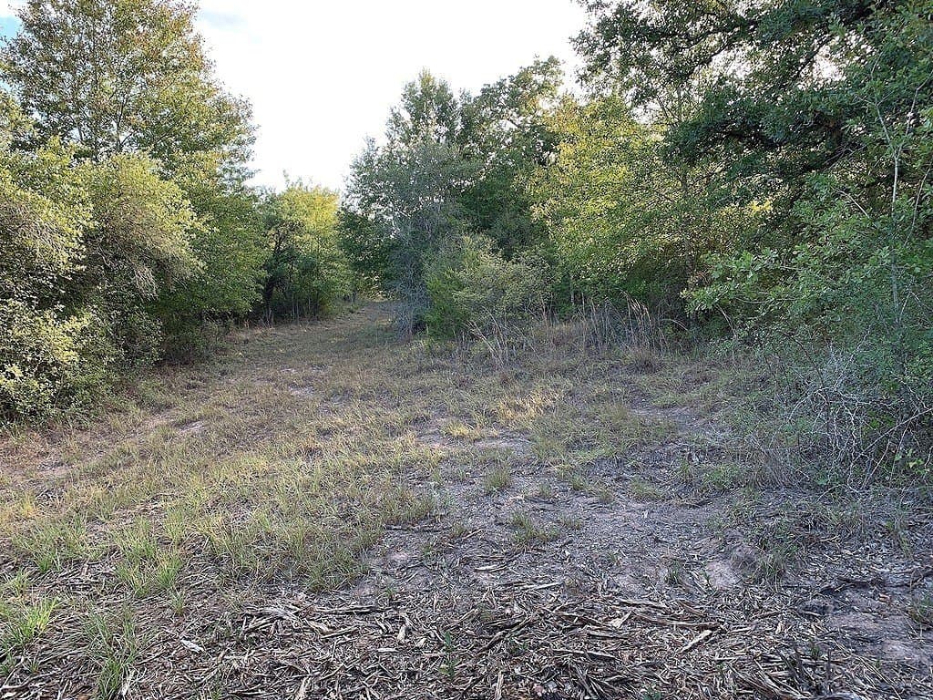 11 acres in Lavaca County - photo 19