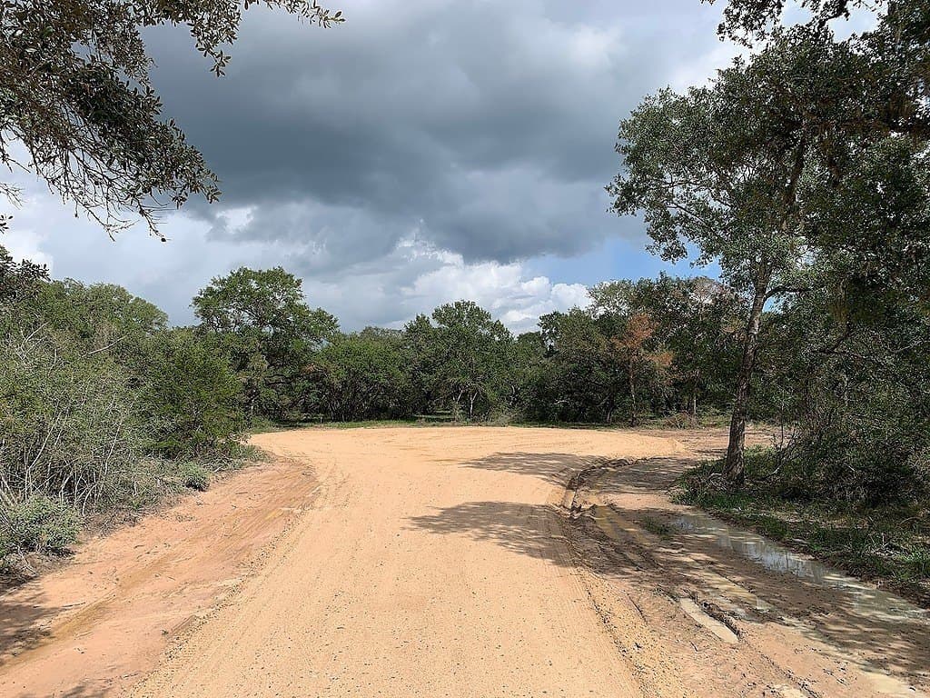 11 acres in Lavaca County - photo 11