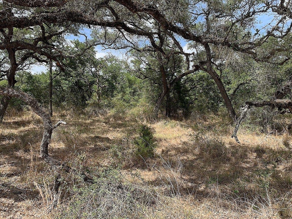 11 acres in Lavaca County - photo 8