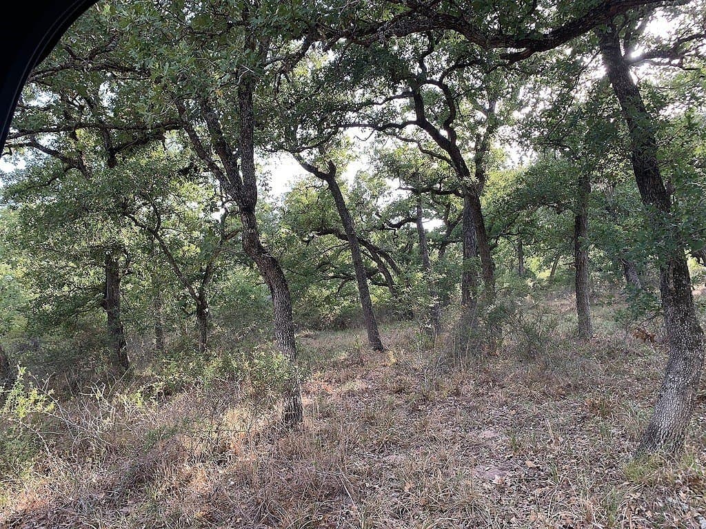 11 acres in Lavaca County - photo 17