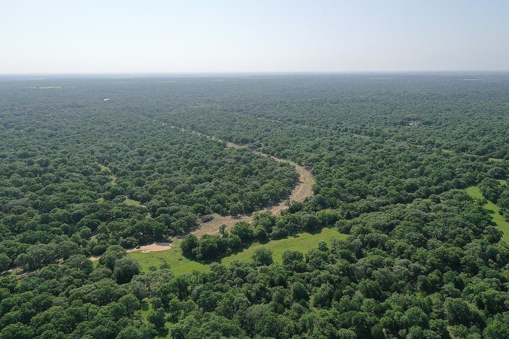 11 acres in Lavaca County - photo 10