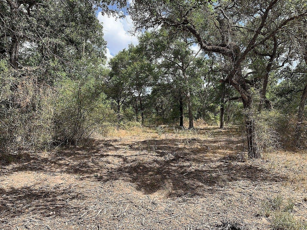 11 acres in Lavaca County - photo 13