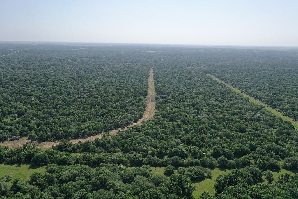 11 acres in Lavaca County - photo 20