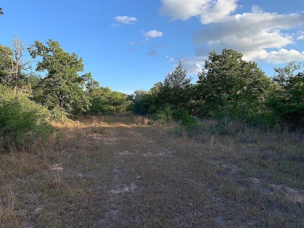 11 acres in Lavaca County - photo 16