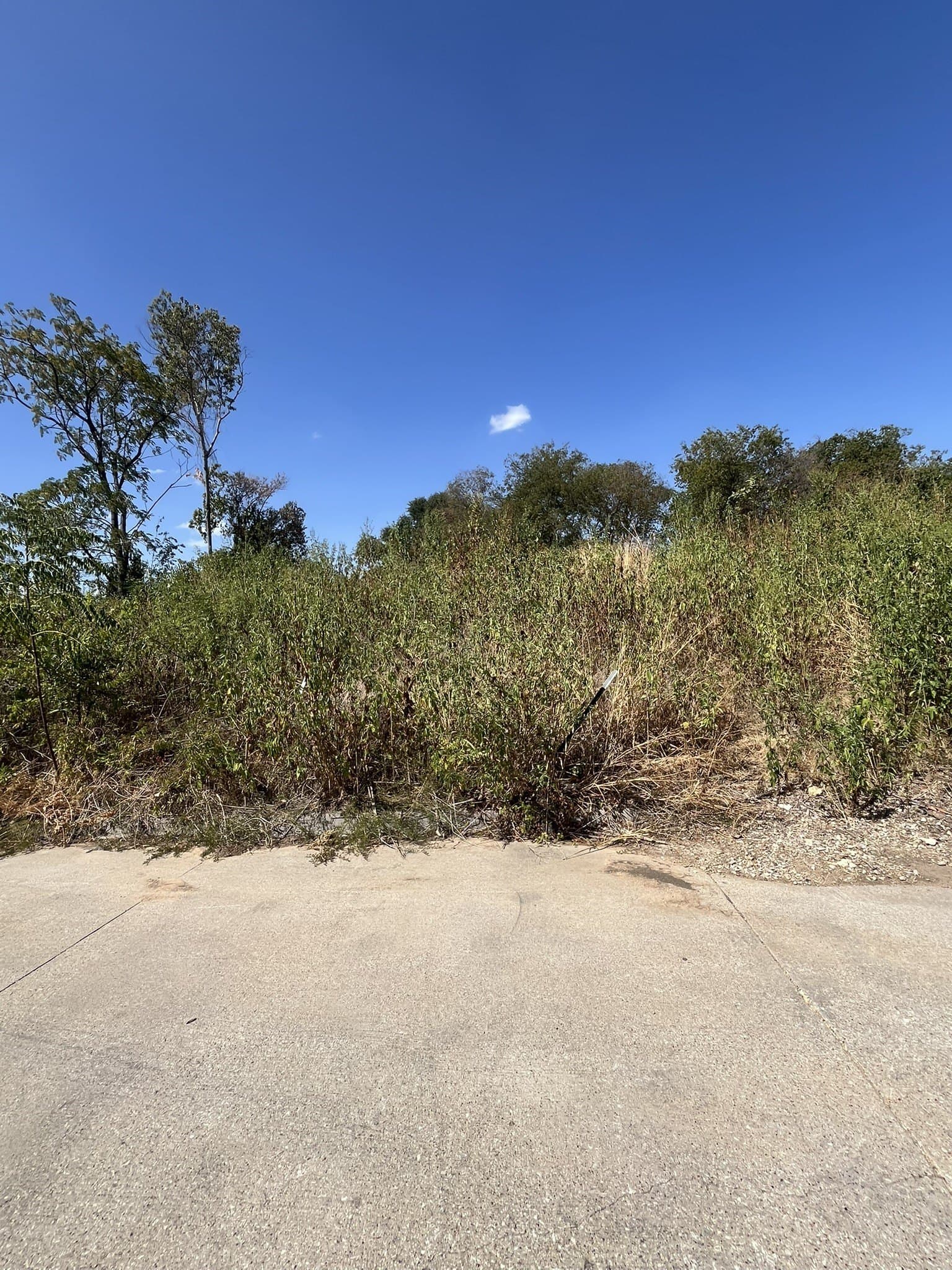 0.43 acres in Tarrant County - photo 4
