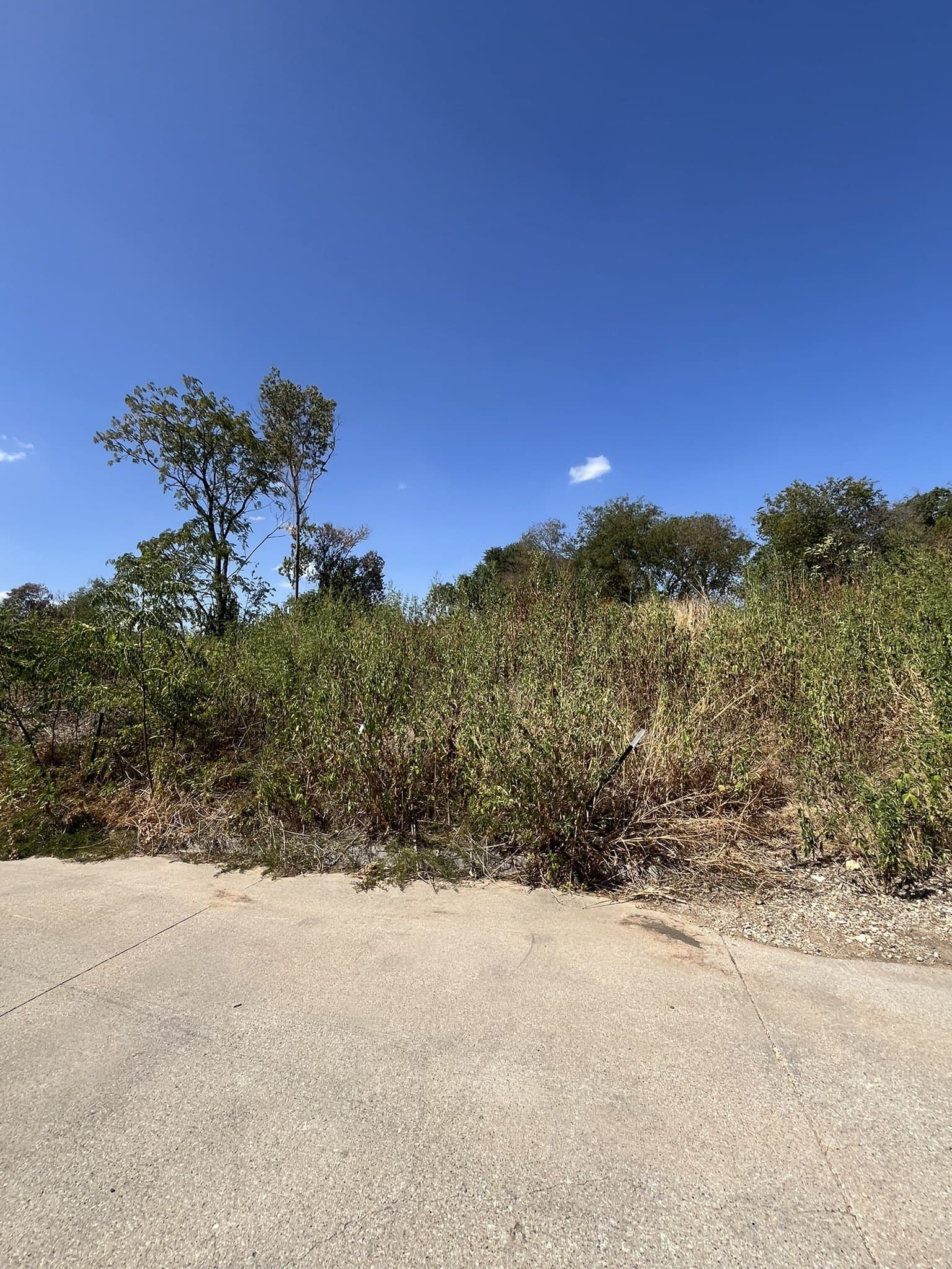 0.43 acres in Tarrant County - photo 3