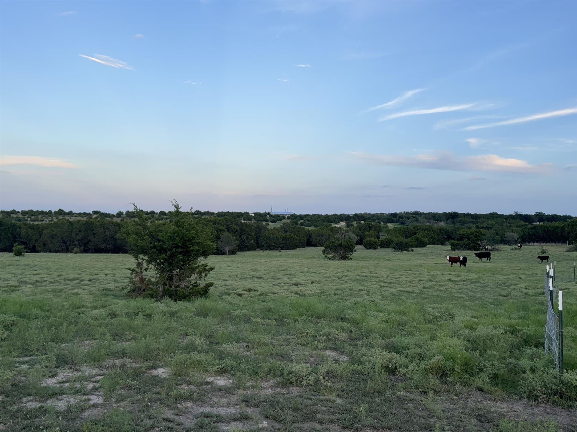22.2 acres in Burnet County - photo 4