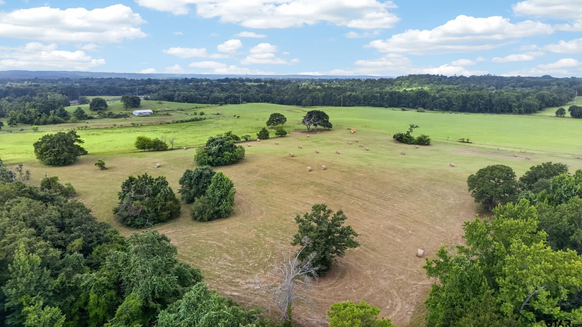 125 acres in Anderson County - photo 9