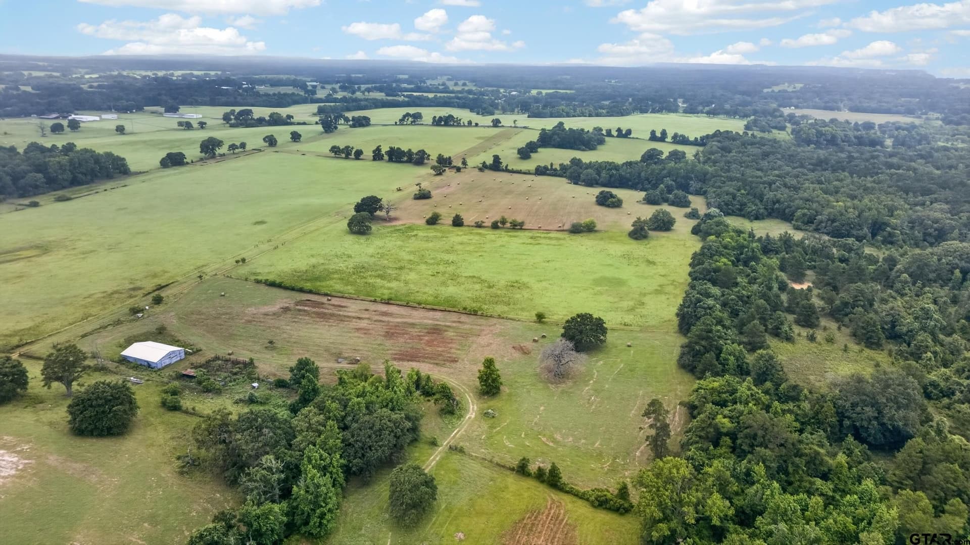 125 acres in Anderson County gallery image 4
