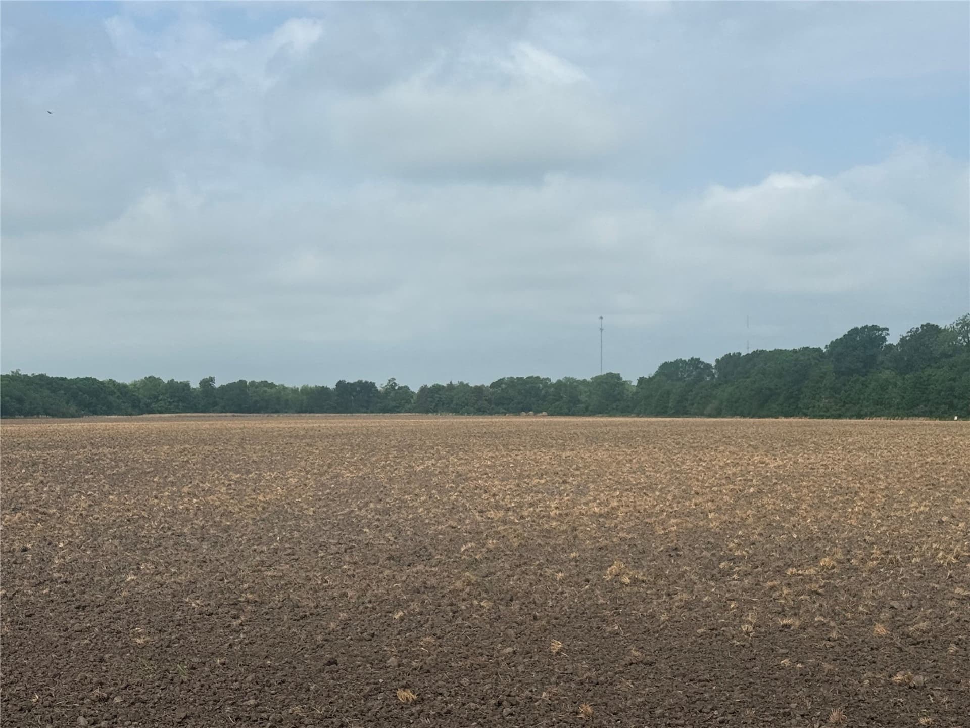 19.78 acres in Fannin County gallery image 2