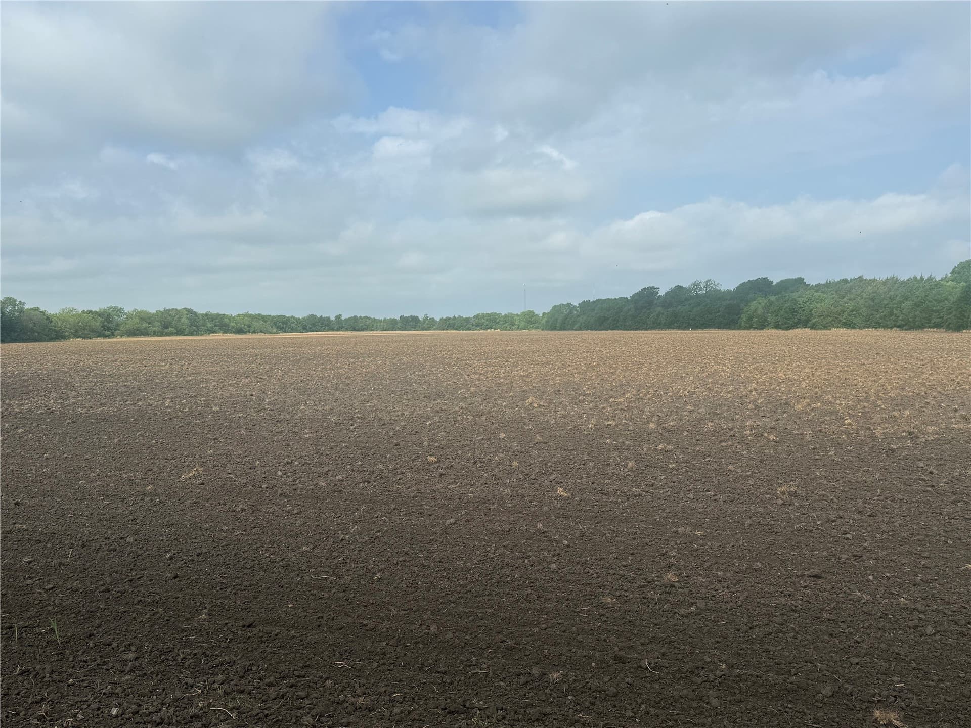 19.78 acres in Fannin County - photo 7