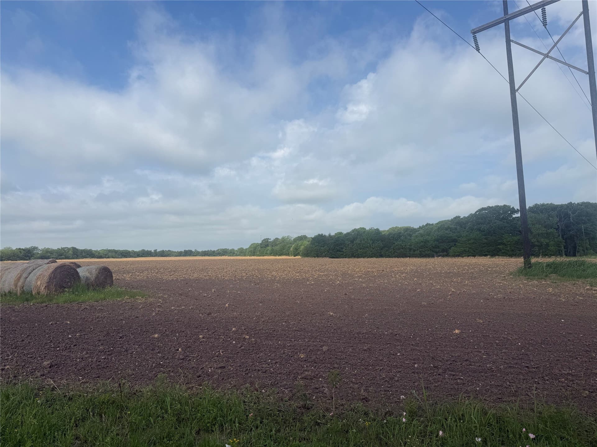 19.78 acres in Fannin County - photo 6