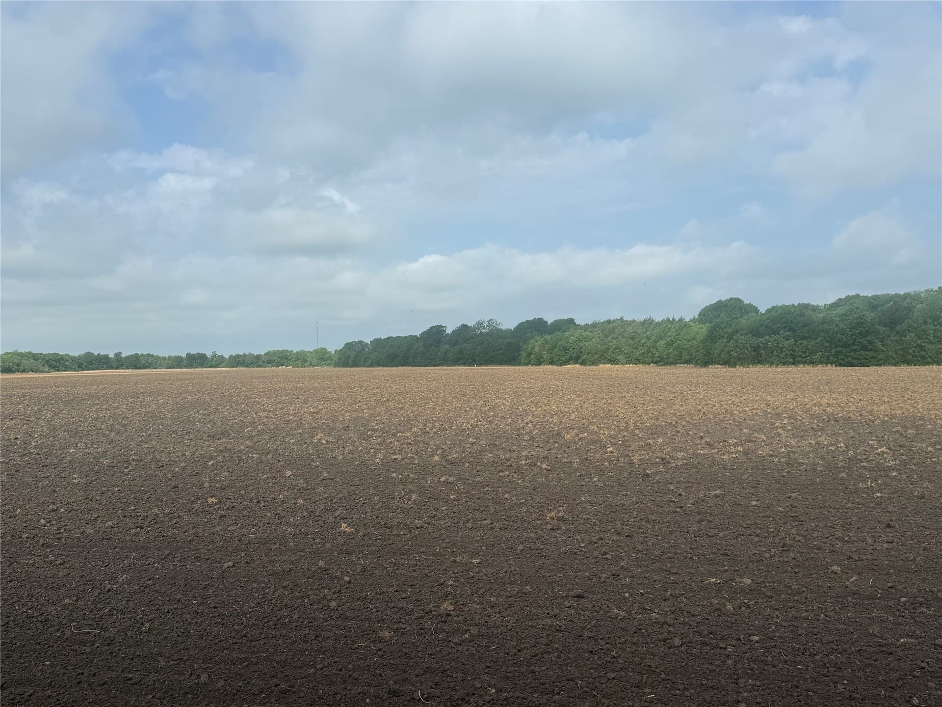 19.78 acres in Fannin County gallery image 4
