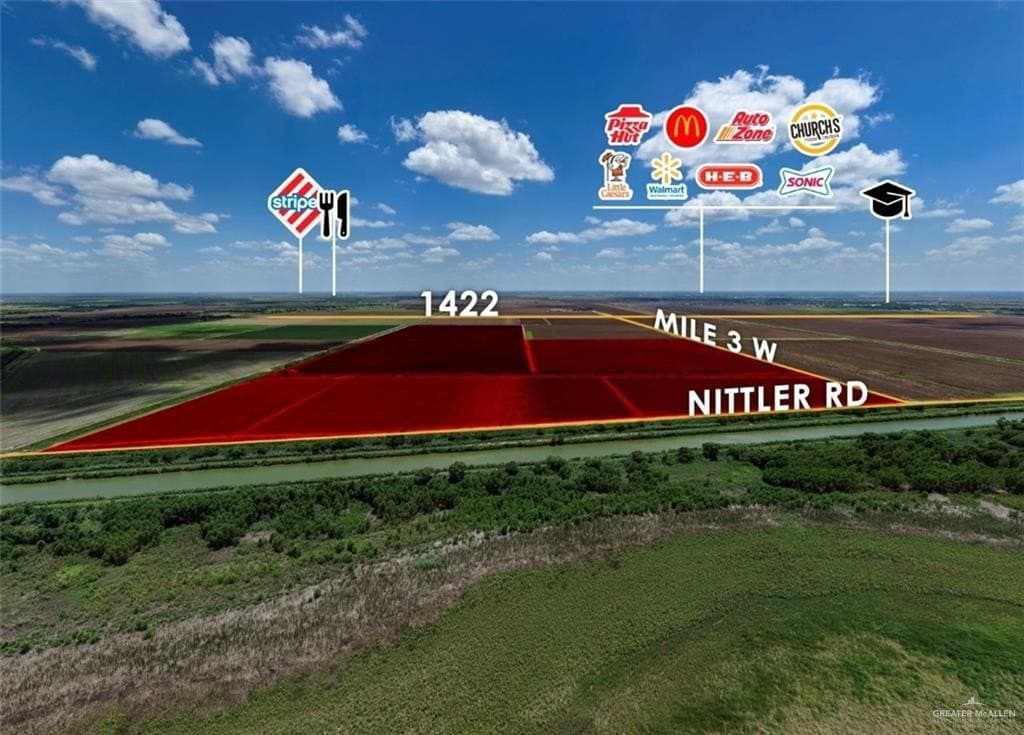 170 acres in Hidalgo County gallery image 4