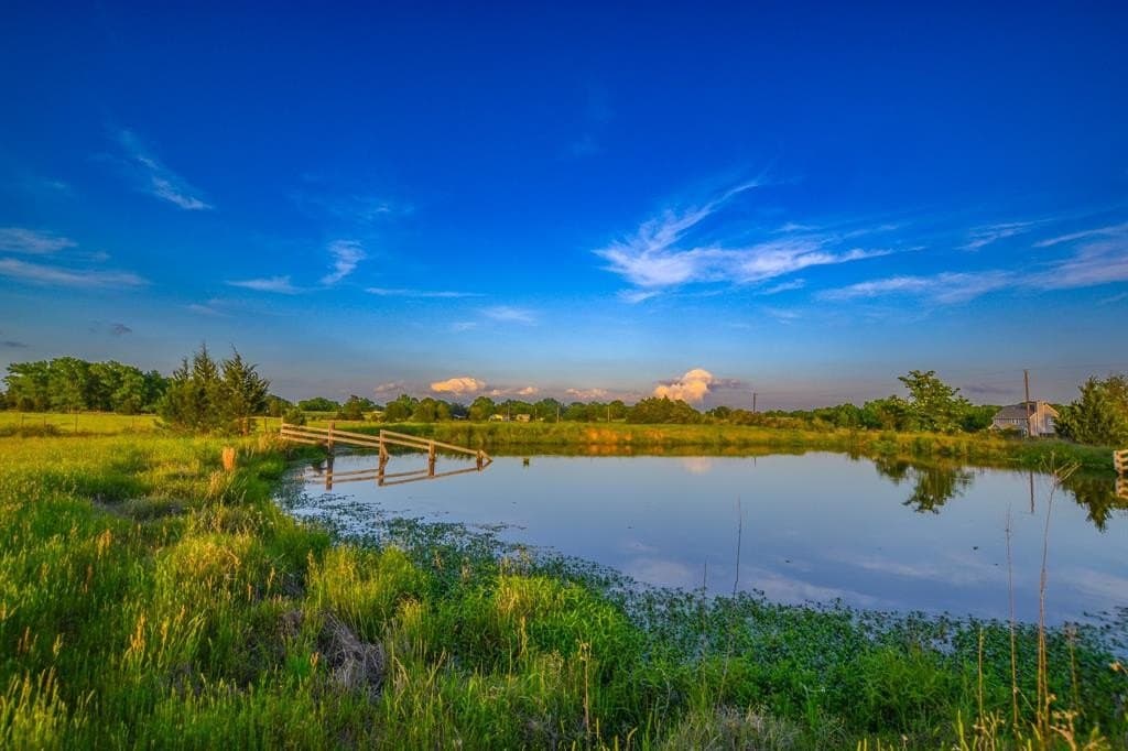 21.29 acres in Van Zandt County gallery image 3