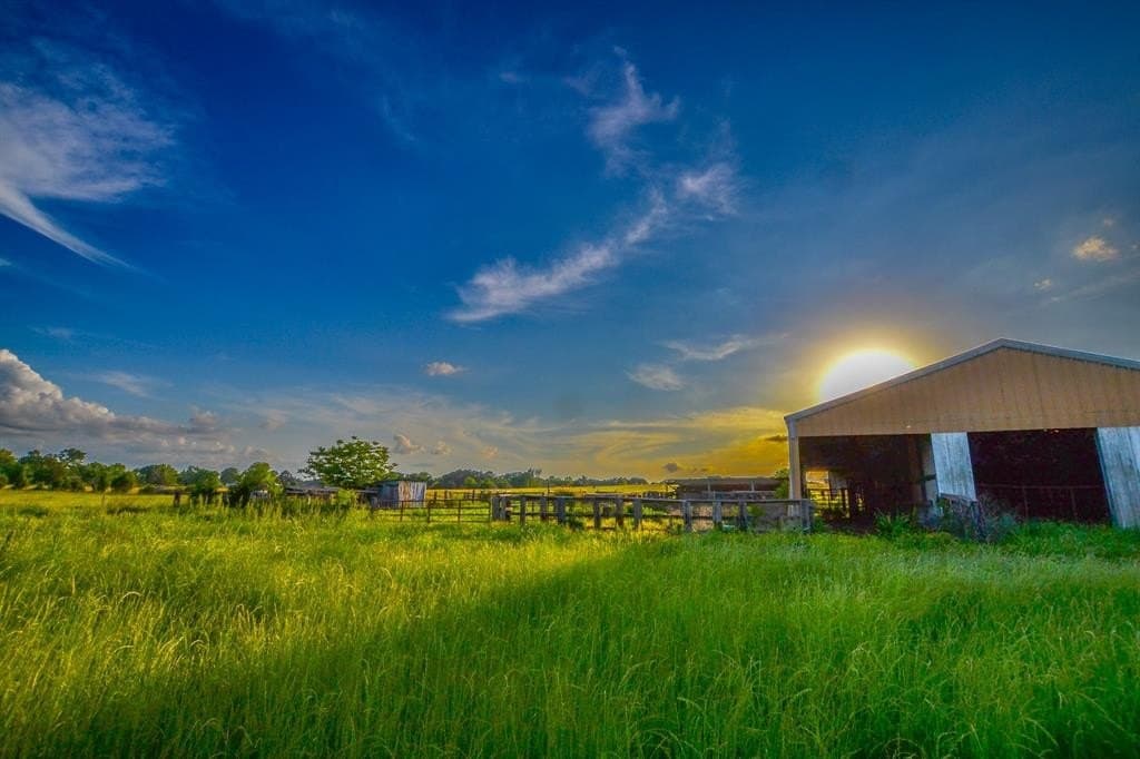 21.29 acres in Van Zandt County gallery image 2