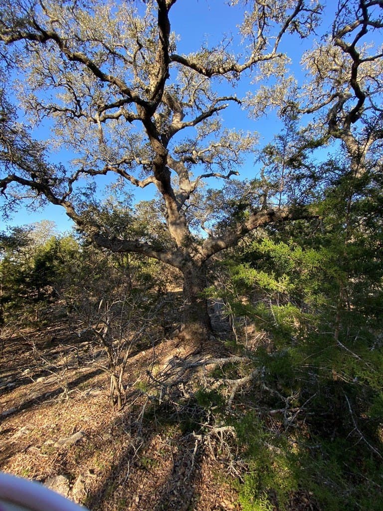 5 acres in Kendall County - photo 21