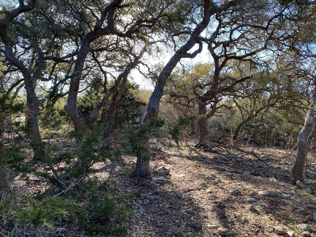 5 acres in Kendall County - photo 10