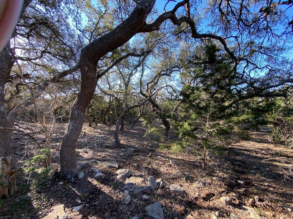 5 acres in Kendall County - photo 12