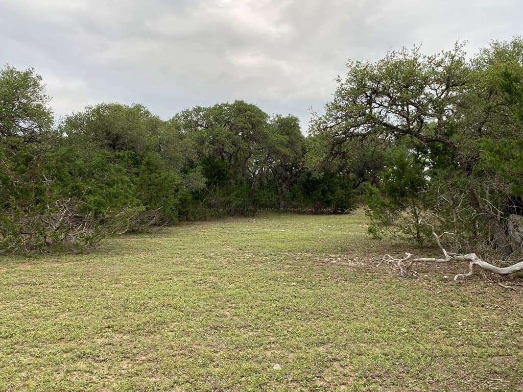 5 acres in Kendall County gallery image 2