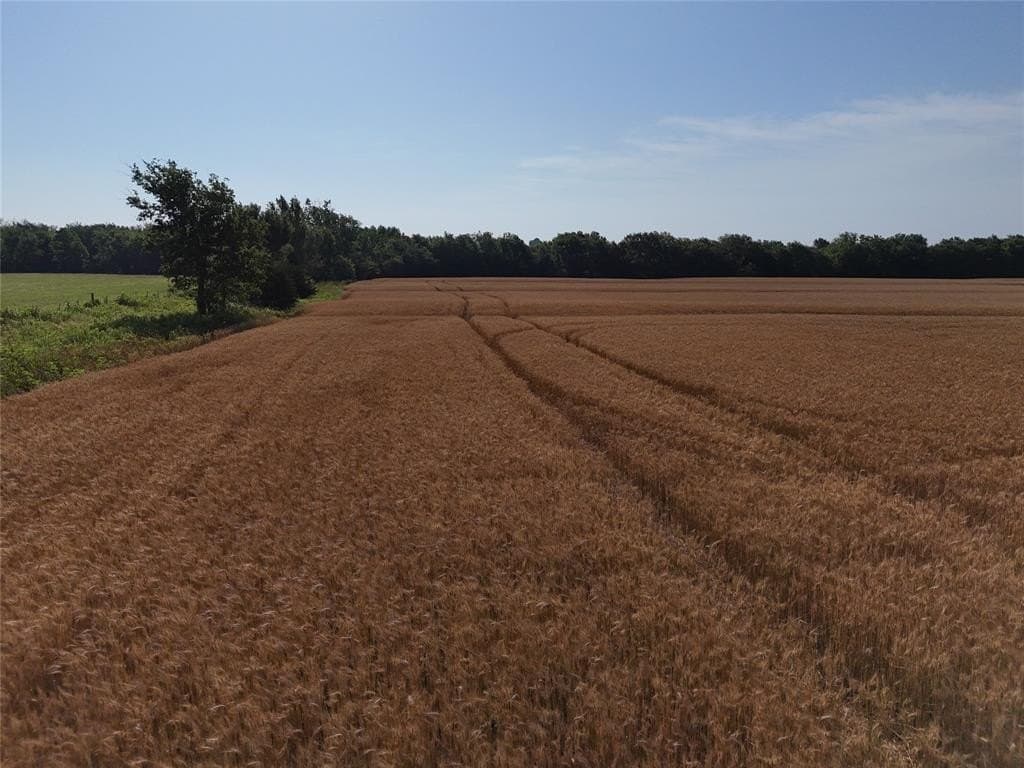 13 acres in Delta County featured view