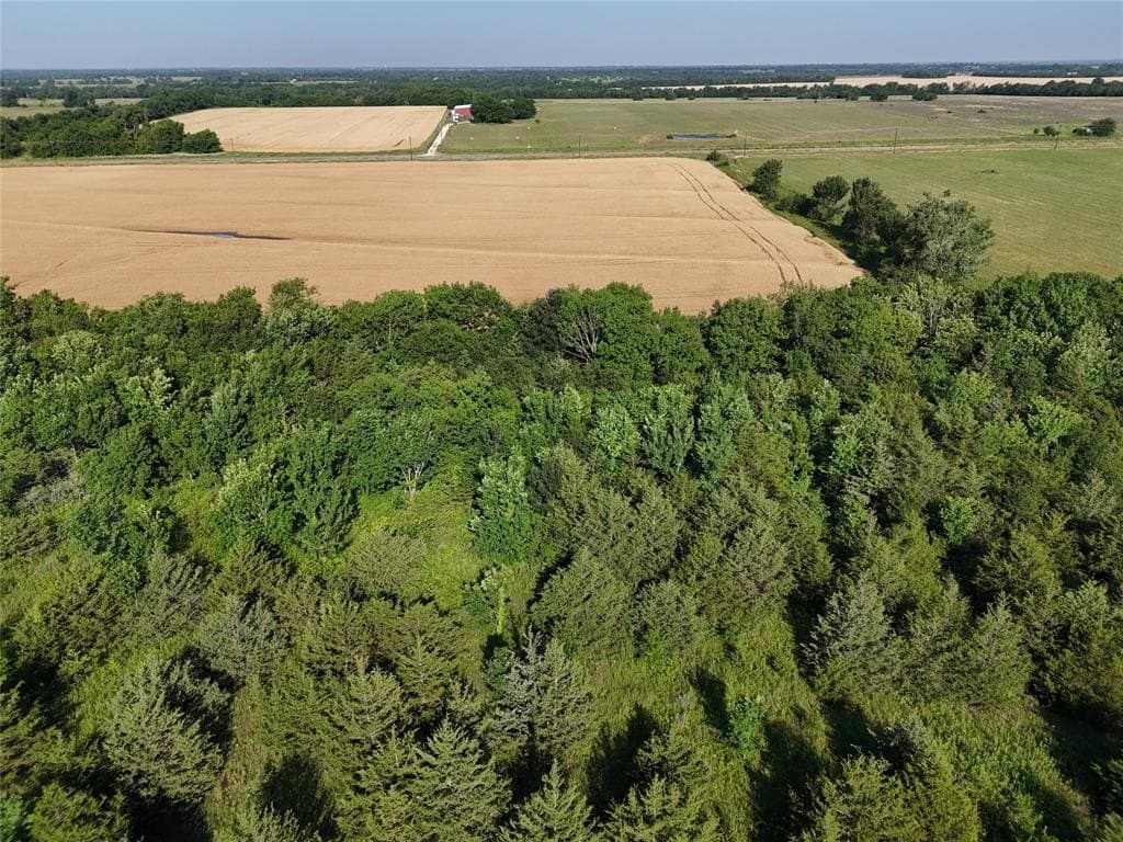 13 acres in Delta County gallery image 2