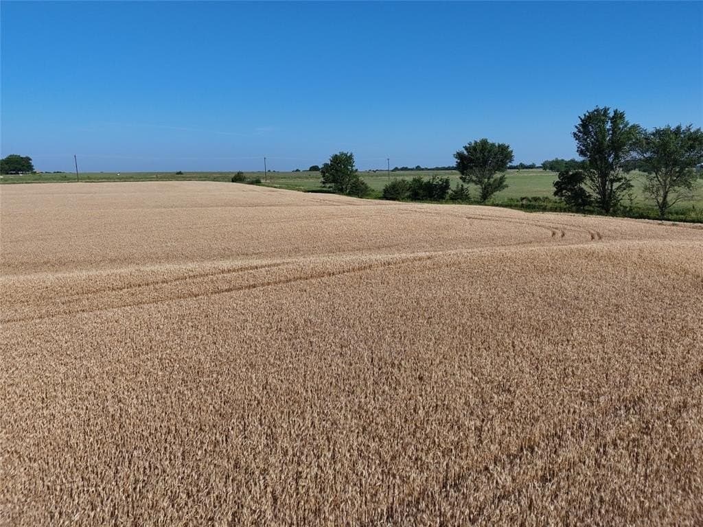 13 acres in Delta County gallery image 3