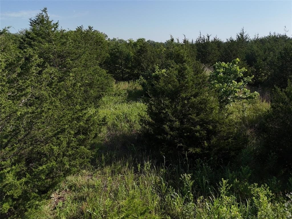 13 acres in Delta County gallery image 4